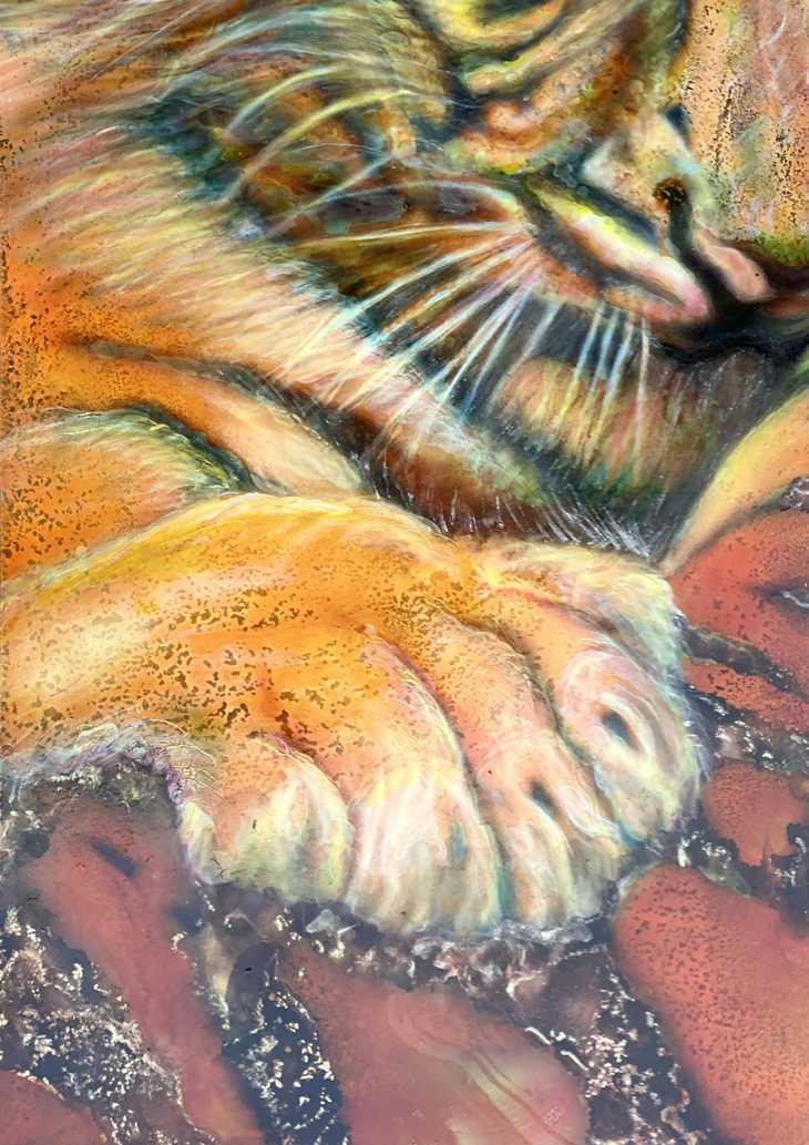 «Mama Tiger» - 1