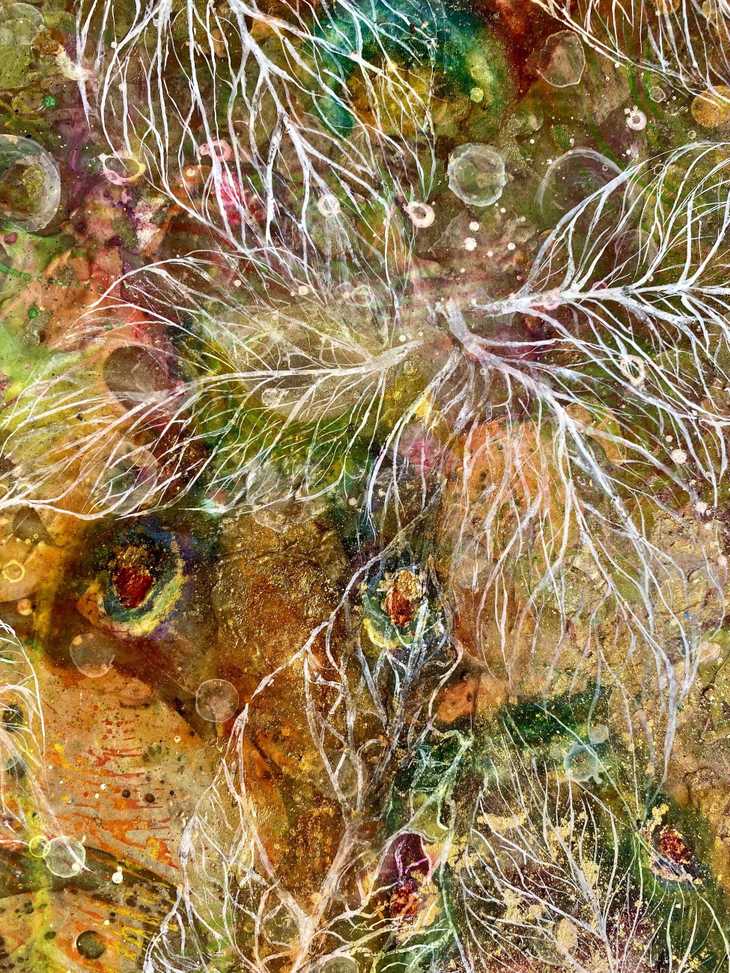 “Life in the Autumn Lake” - 31